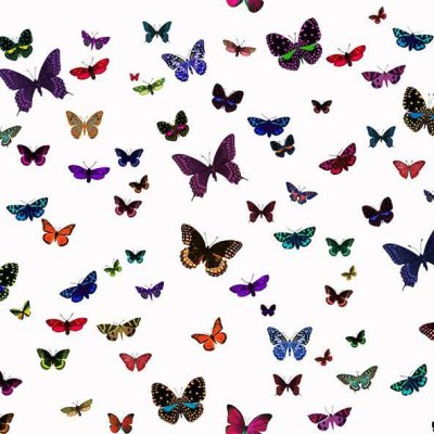 Velours Butterfly n°3 Zéphyr and Co