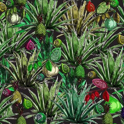 Velours Agave n°3 Zéphyr and Co