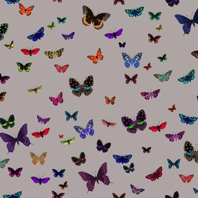 Velours Butterfly n°4 Zéphyr and Co