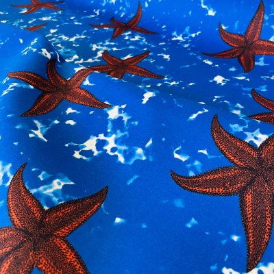 Velours Étoile de mer n°2 Zéphyr and Co