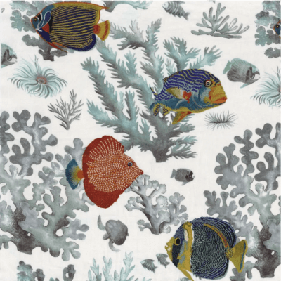 Les Empereurs Casamance