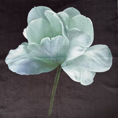 carré tissu fleur fond noir