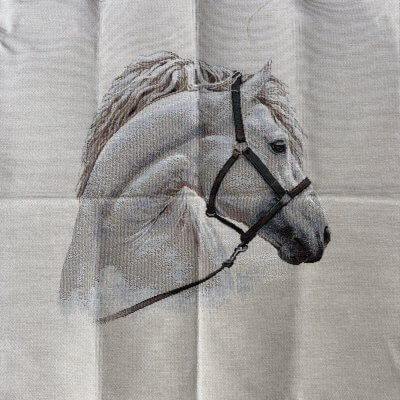 Cheval blanc