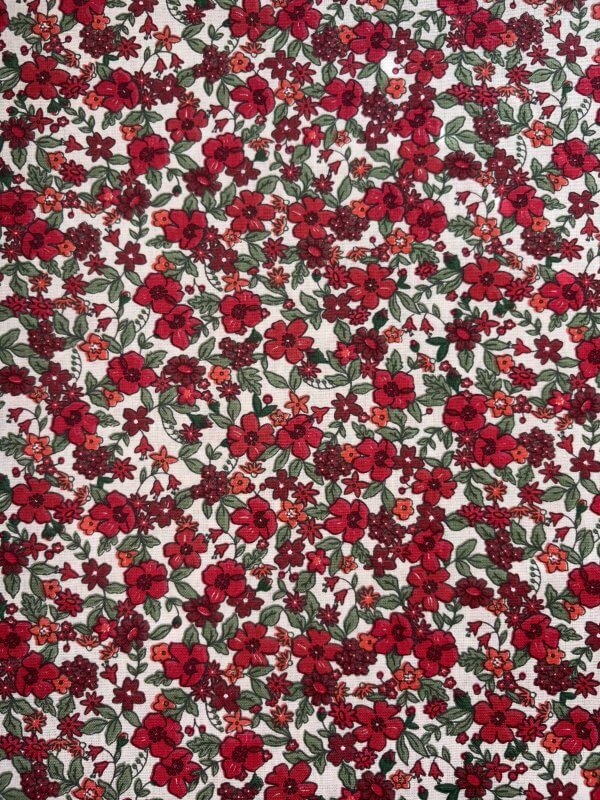 IMG_7120 tissu agatha rouge